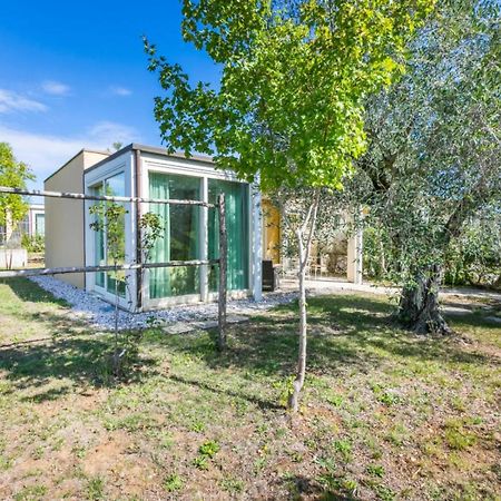 Toscana Biovillage - Private Cottage Cecina  Zewnętrze zdjęcie